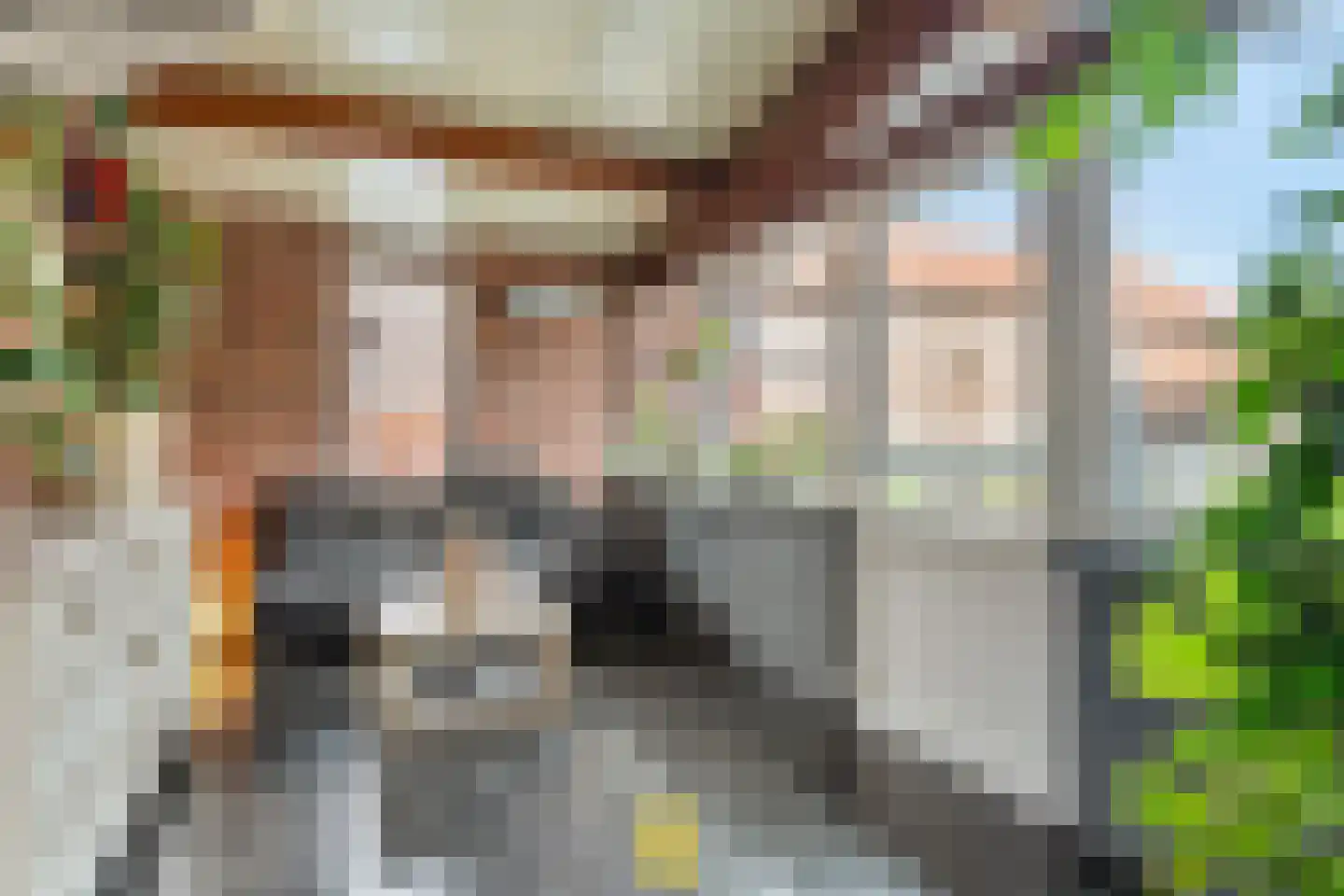 Laan van België 3740 Bilzen Roosendaal thumbnail 27