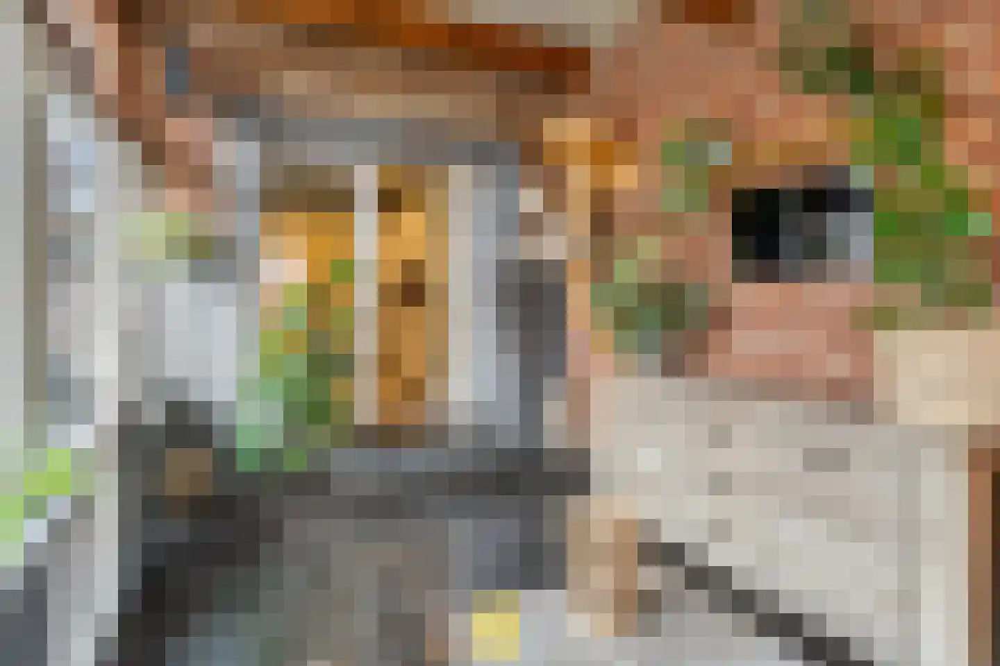 Laan van België 3740 Bilzen Roosendaal thumbnail 29