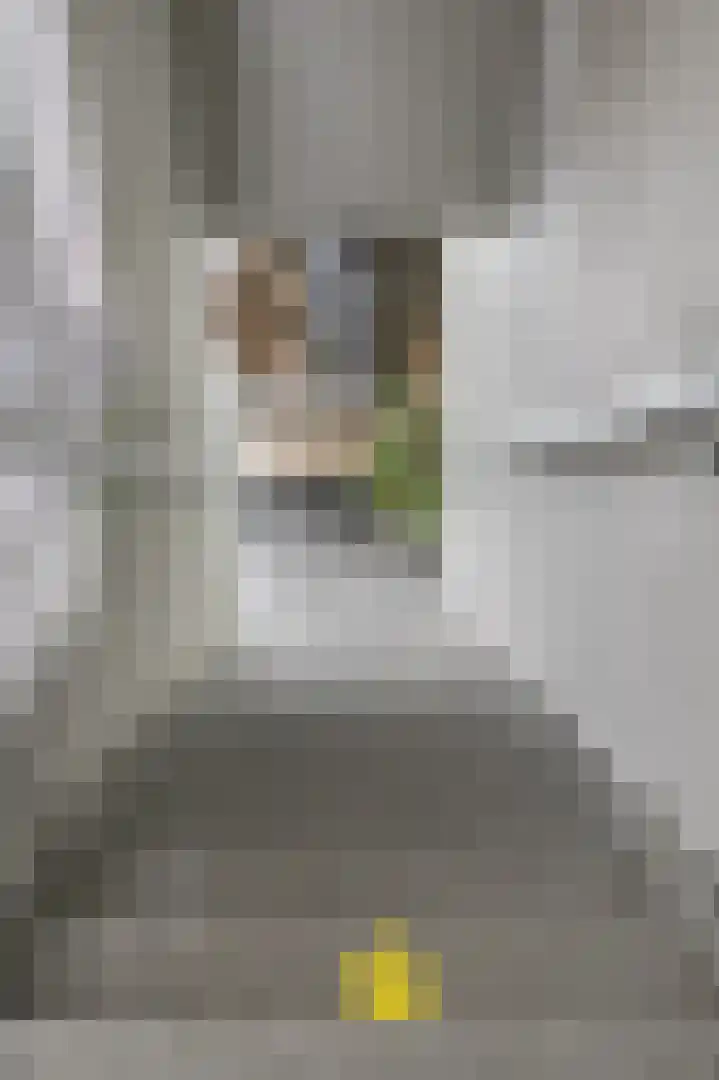 Laan van België 3740 Bilzen Roosendaal thumbnail 30