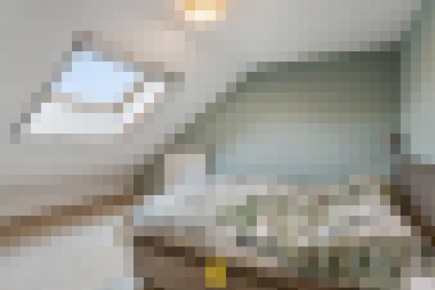 Laan van België 3740 Bilzen Roosendaal thumbnail 33