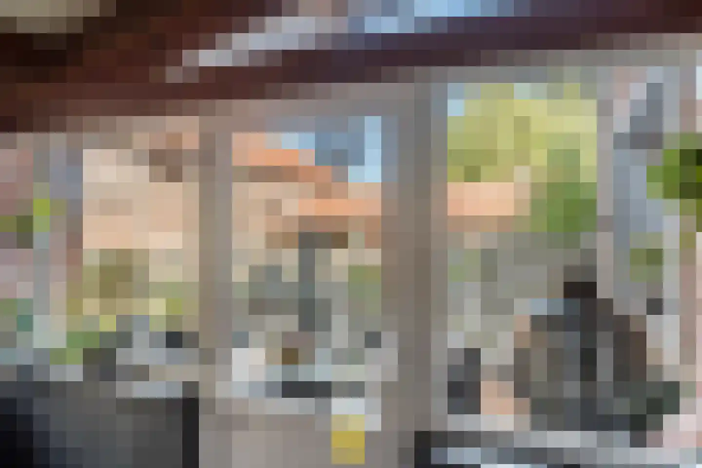 Laan van België 3740 Bilzen Roosendaal thumbnail 38
