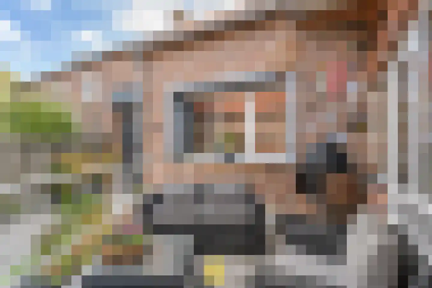 Laan van België 3740 Bilzen Roosendaal thumbnail 40