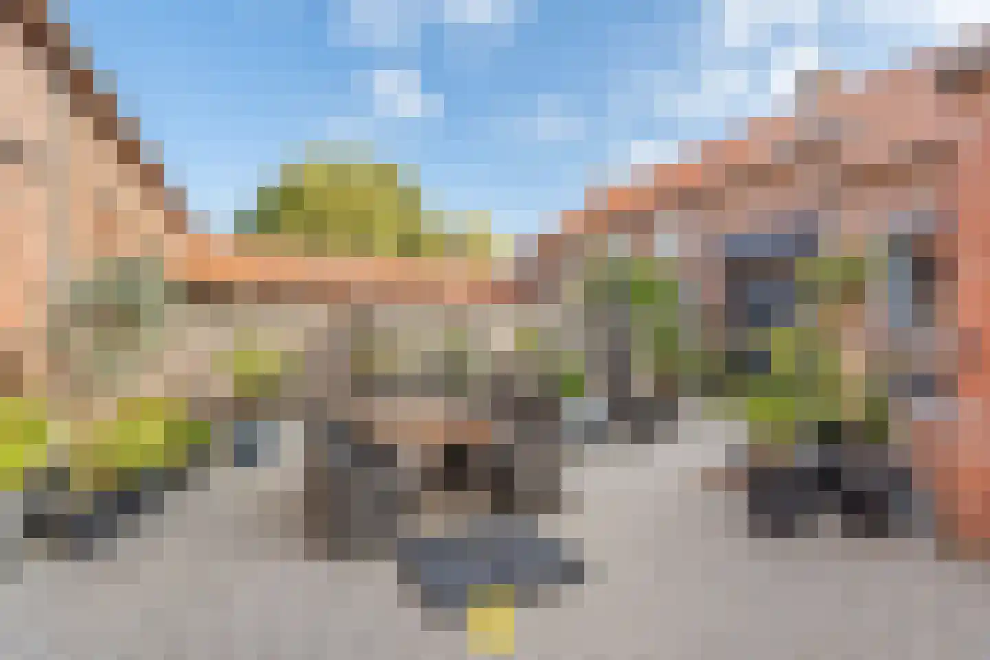 Laan van België 3740 Bilzen Roosendaal thumbnail 43