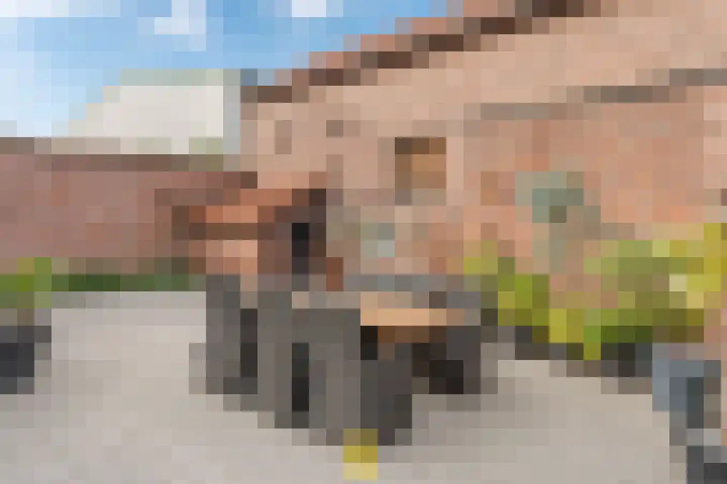 Laan van België 3740 Bilzen Roosendaal thumbnail 44