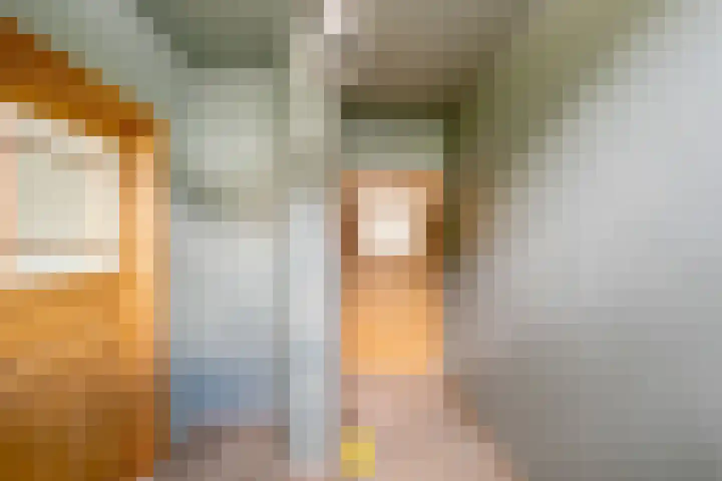 Laan van België 3740 Bilzen Roosendaal thumbnail 54