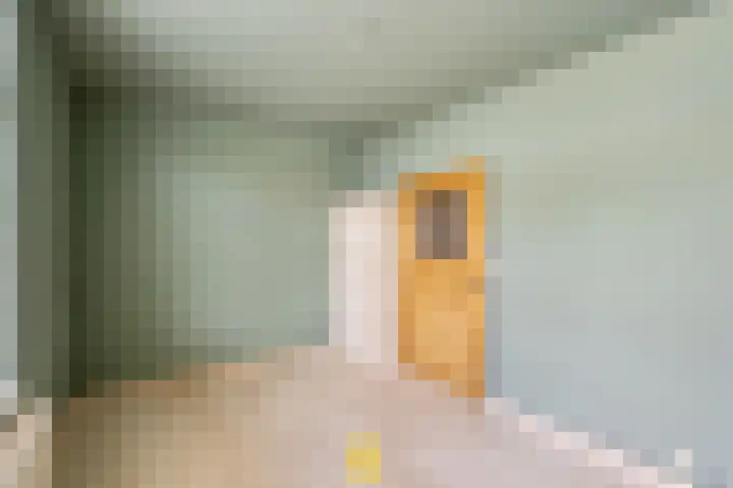 Laan van België 3740 Bilzen Roosendaal thumbnail 56