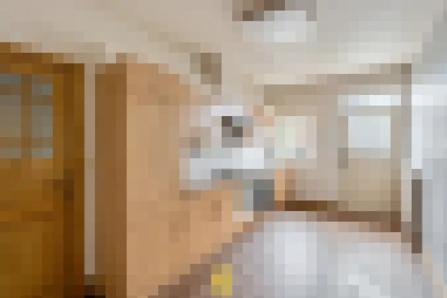 Laan van België 3740 Bilzen Roosendaal thumbnail 58