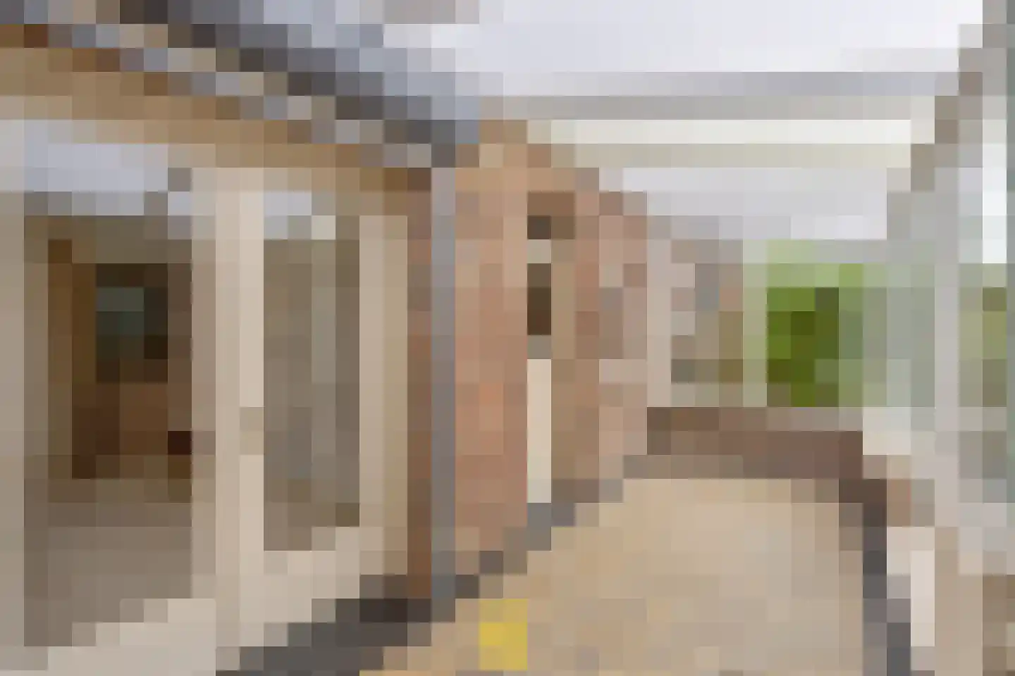 Laan van België 3740 Bilzen Roosendaal thumbnail 65