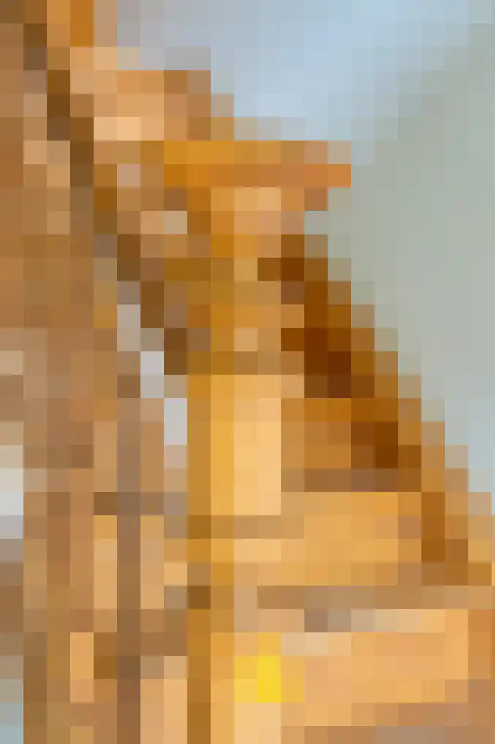 Laan van België 3740 Bilzen Roosendaal thumbnail 68