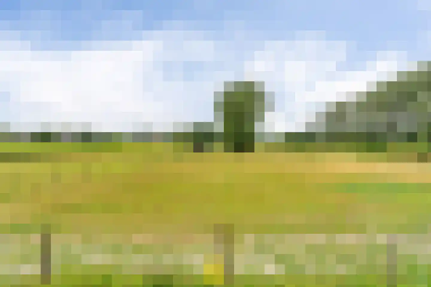 Laan van België 3740 Bilzen Roosendaal thumbnail 7