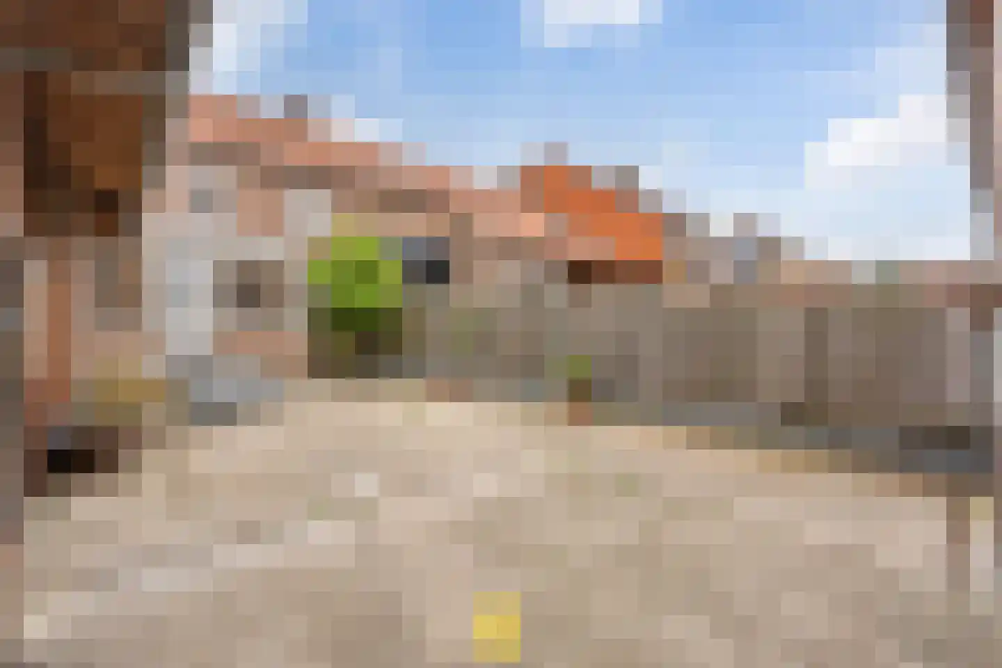Laan van België 3740 Bilzen Roosendaal thumbnail 75