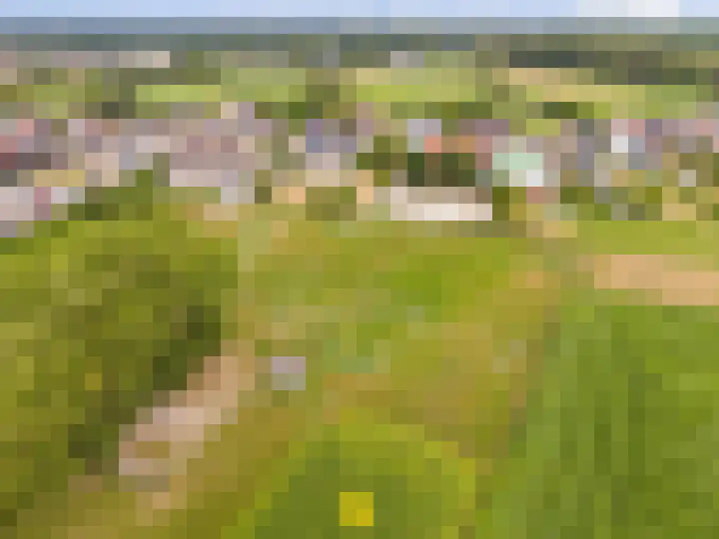 Laan van België 3740 Bilzen Roosendaal thumbnail 8