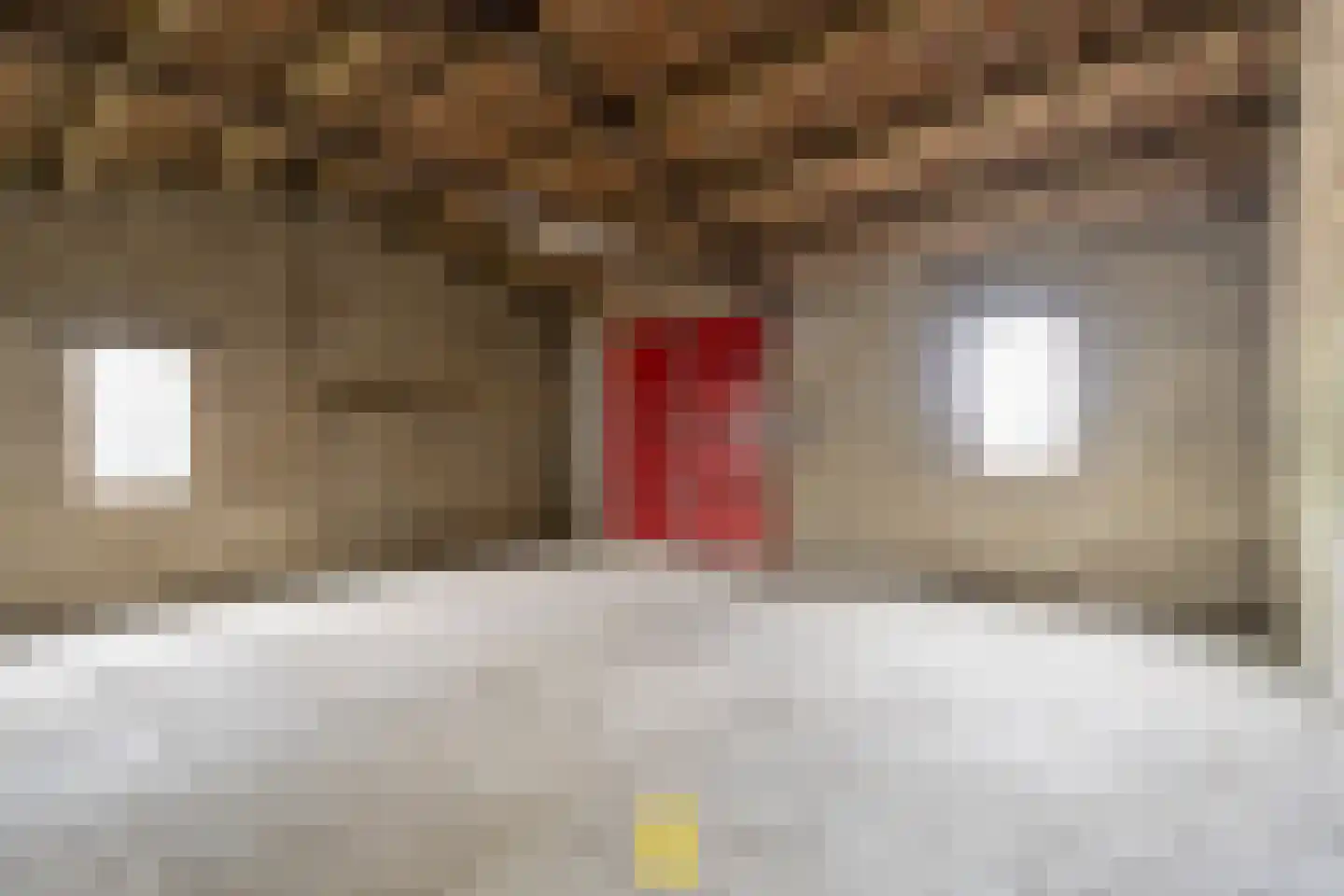 Laan van België 3740 Bilzen Roosendaal thumbnail 80