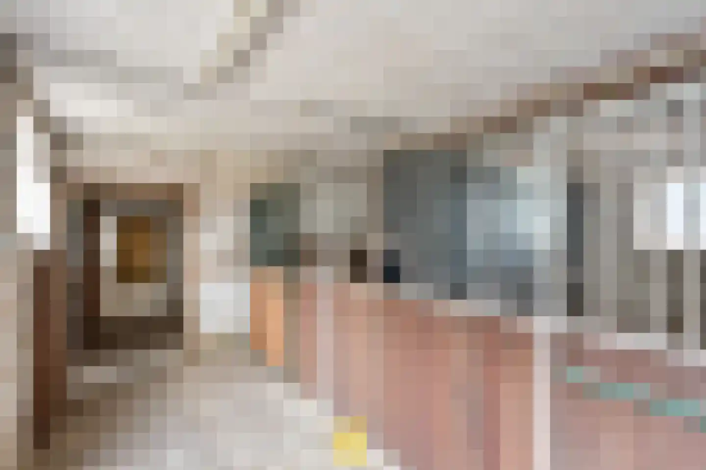 Laan van België 3740 Bilzen Roosendaal thumbnail 82