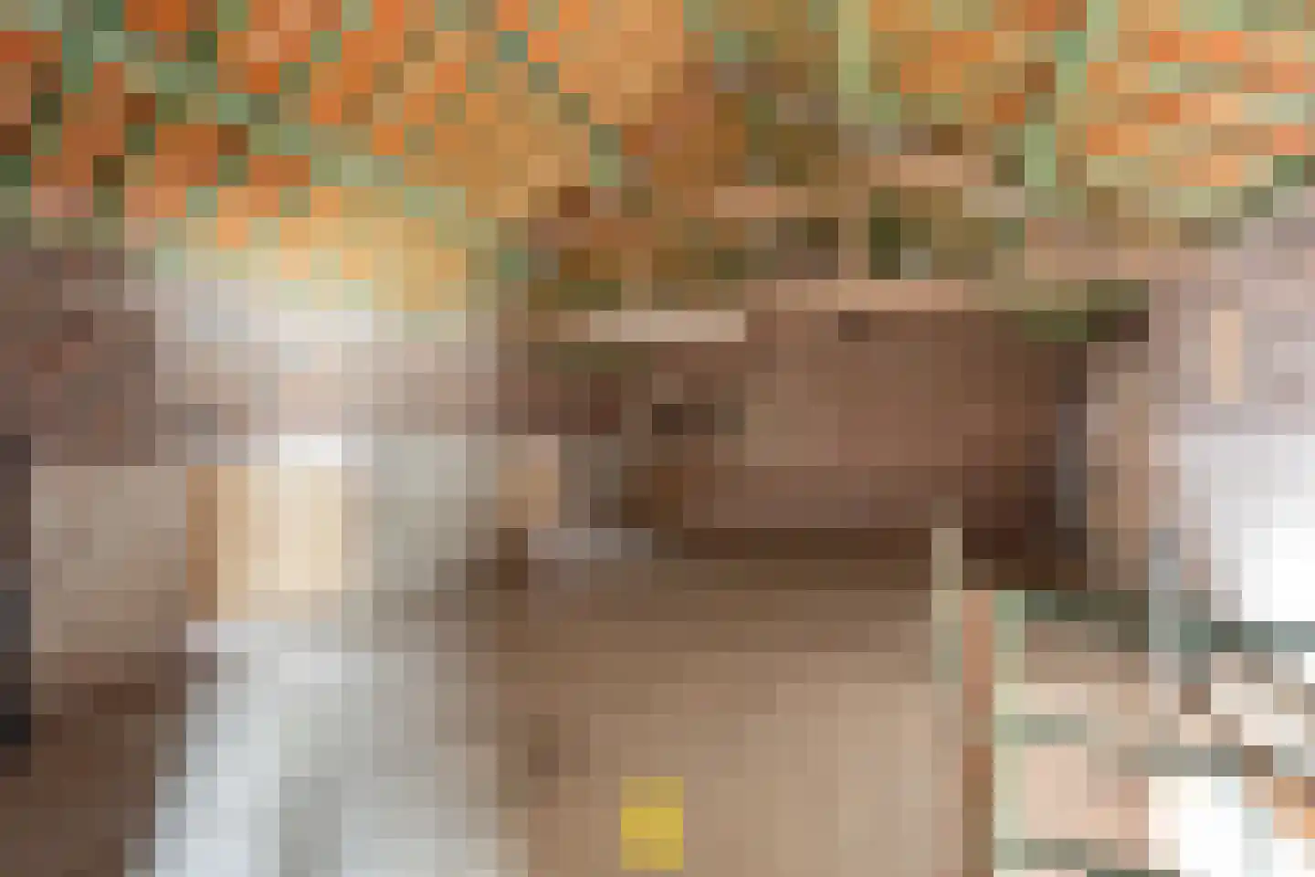 Laan van België 3740 Bilzen Roosendaal thumbnail 83