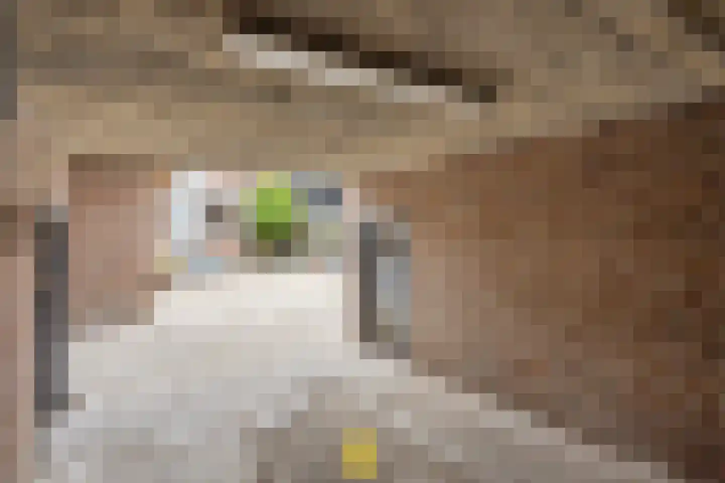 Laan van België 3740 Bilzen Roosendaal thumbnail 84