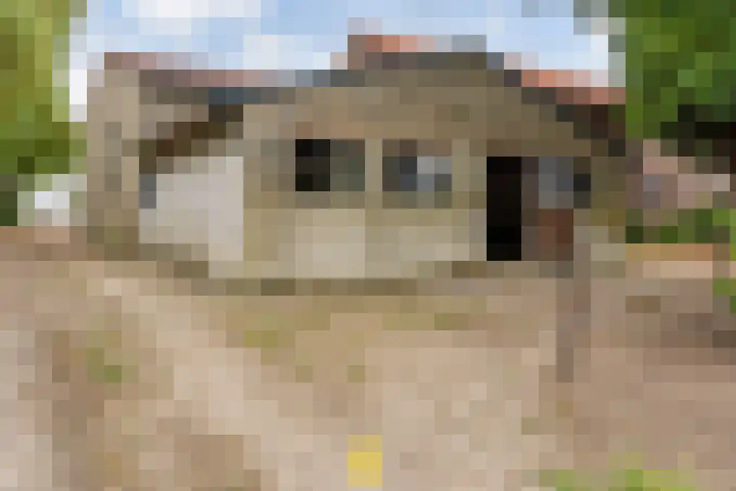 Laan van België 3740 Bilzen Roosendaal thumbnail 85