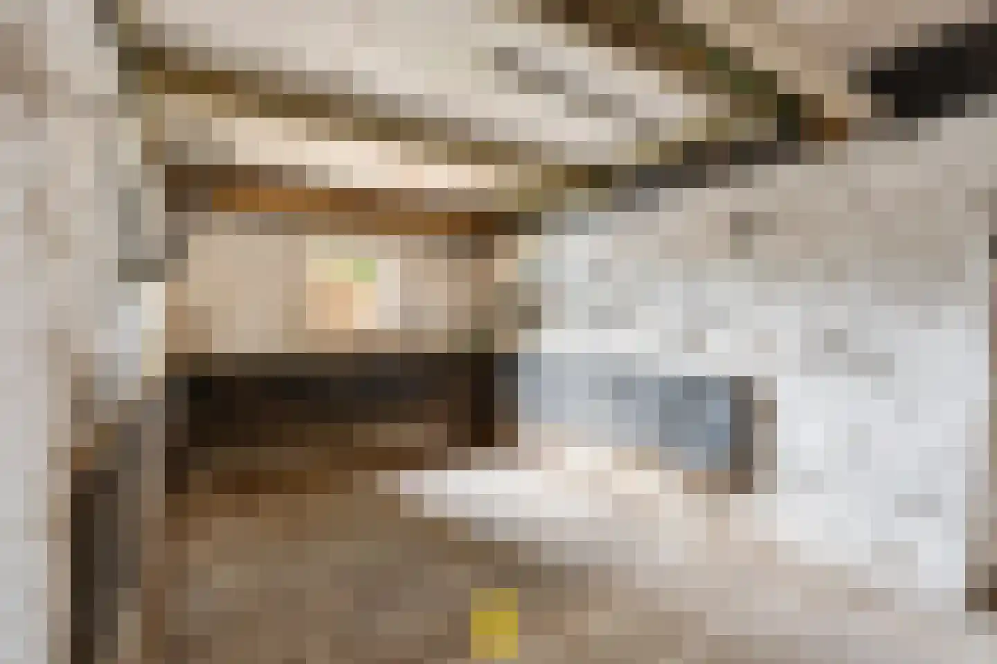 Laan van België 3740 Bilzen Roosendaal thumbnail 86