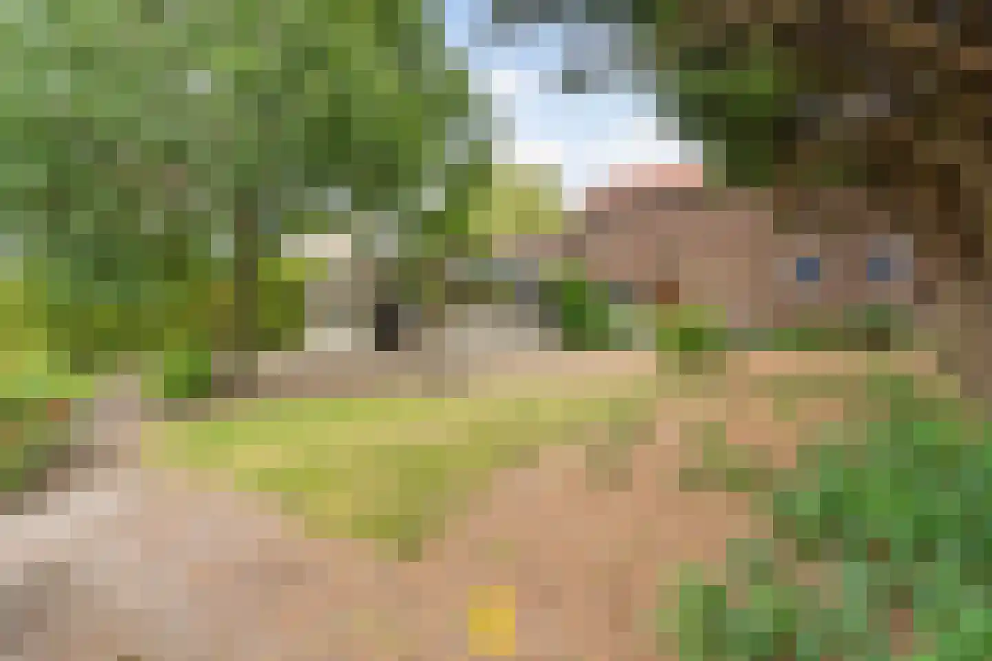 Laan van België 3740 Bilzen Roosendaal thumbnail 89