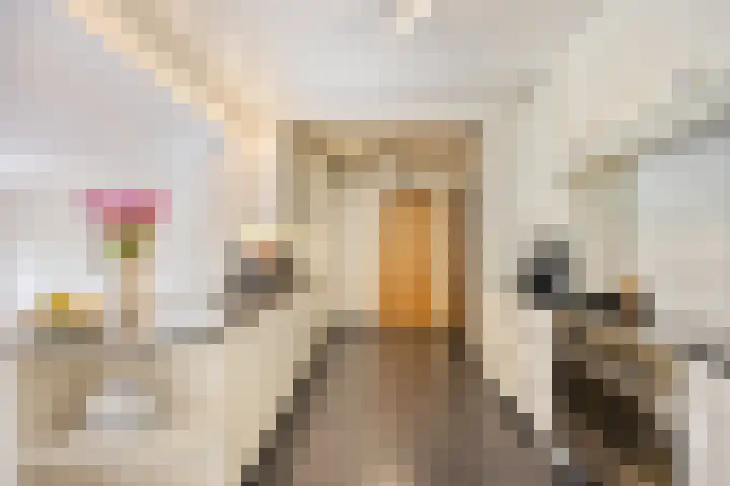 Laan van België 6 Roosendaal thumbnail 6