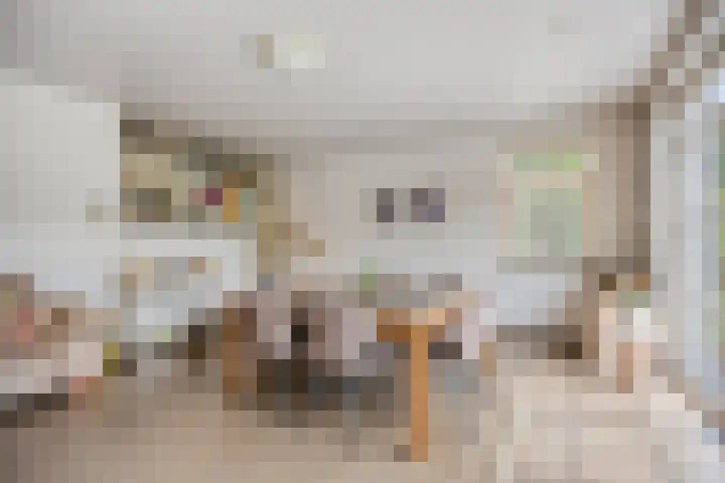 Laan van België 6 Roosendaal thumbnail 7