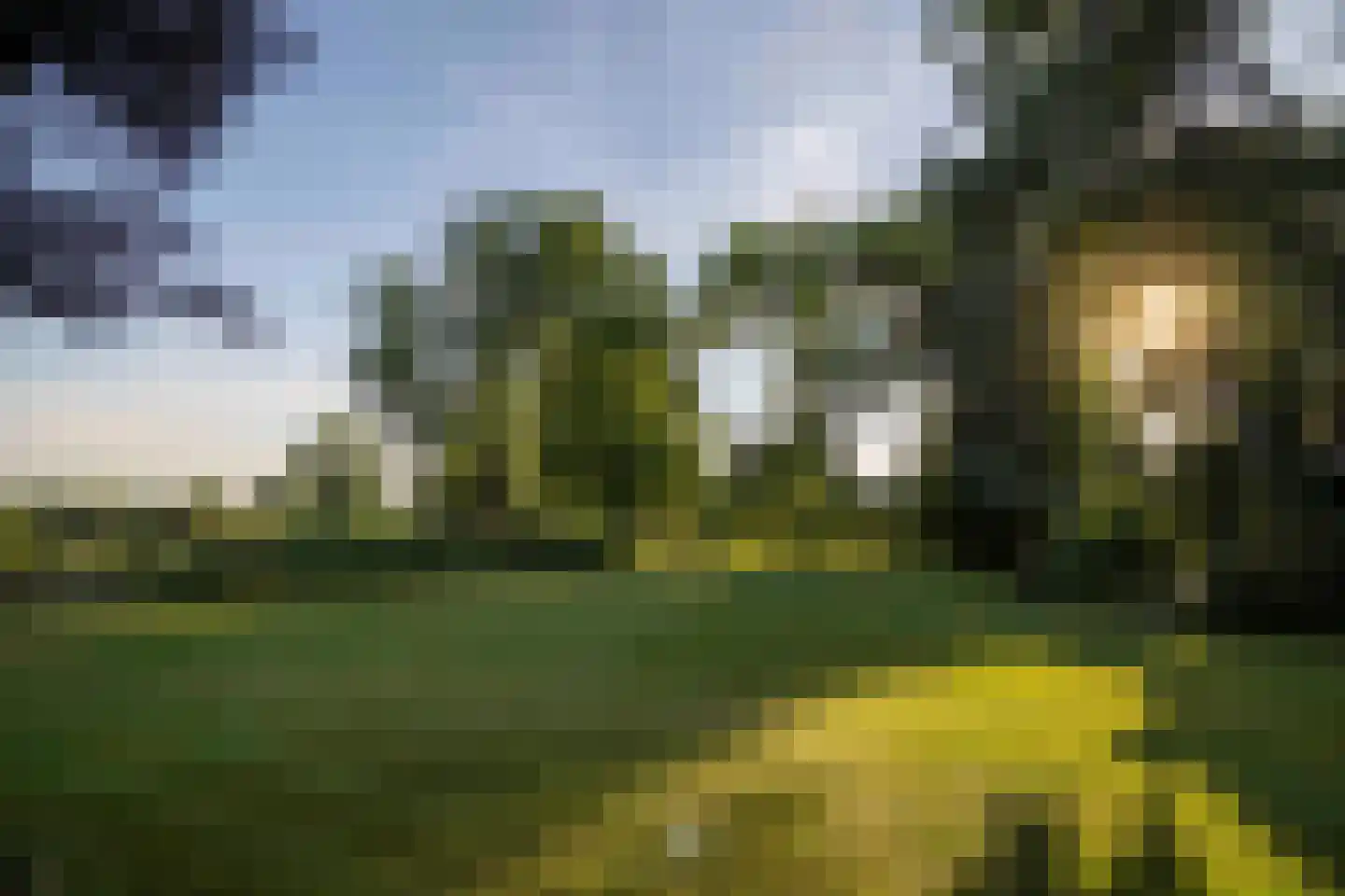 Laan van België 67 Roosendaal thumbnail 15