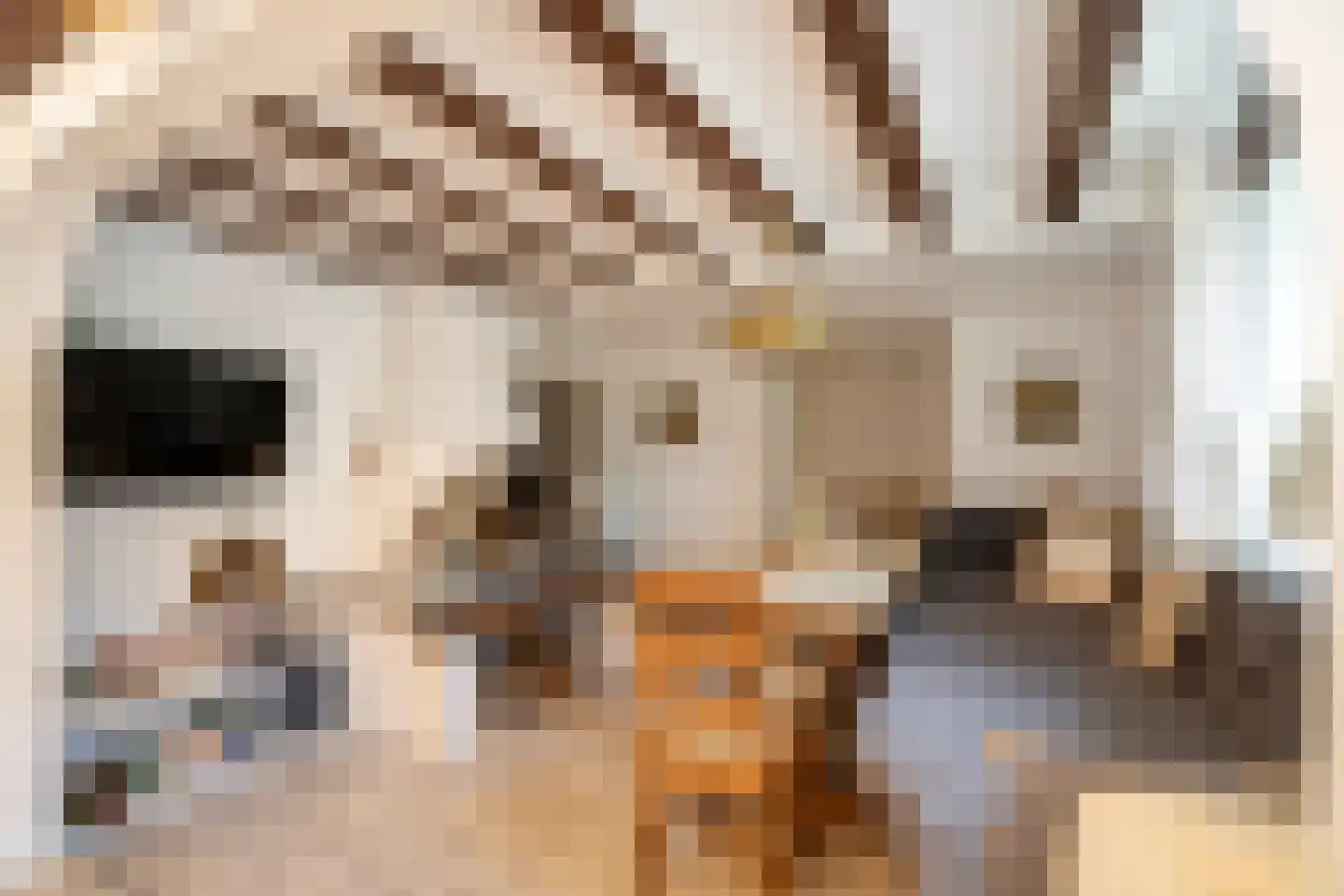 Laan van België 67 Roosendaal thumbnail 6