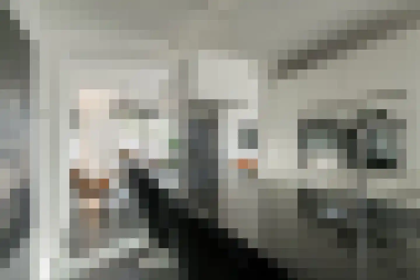 Laan van België 68 Roosendaal thumbnail 27