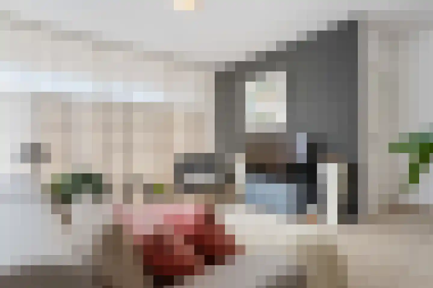 Laan van België 70 Roosendaal thumbnail 33