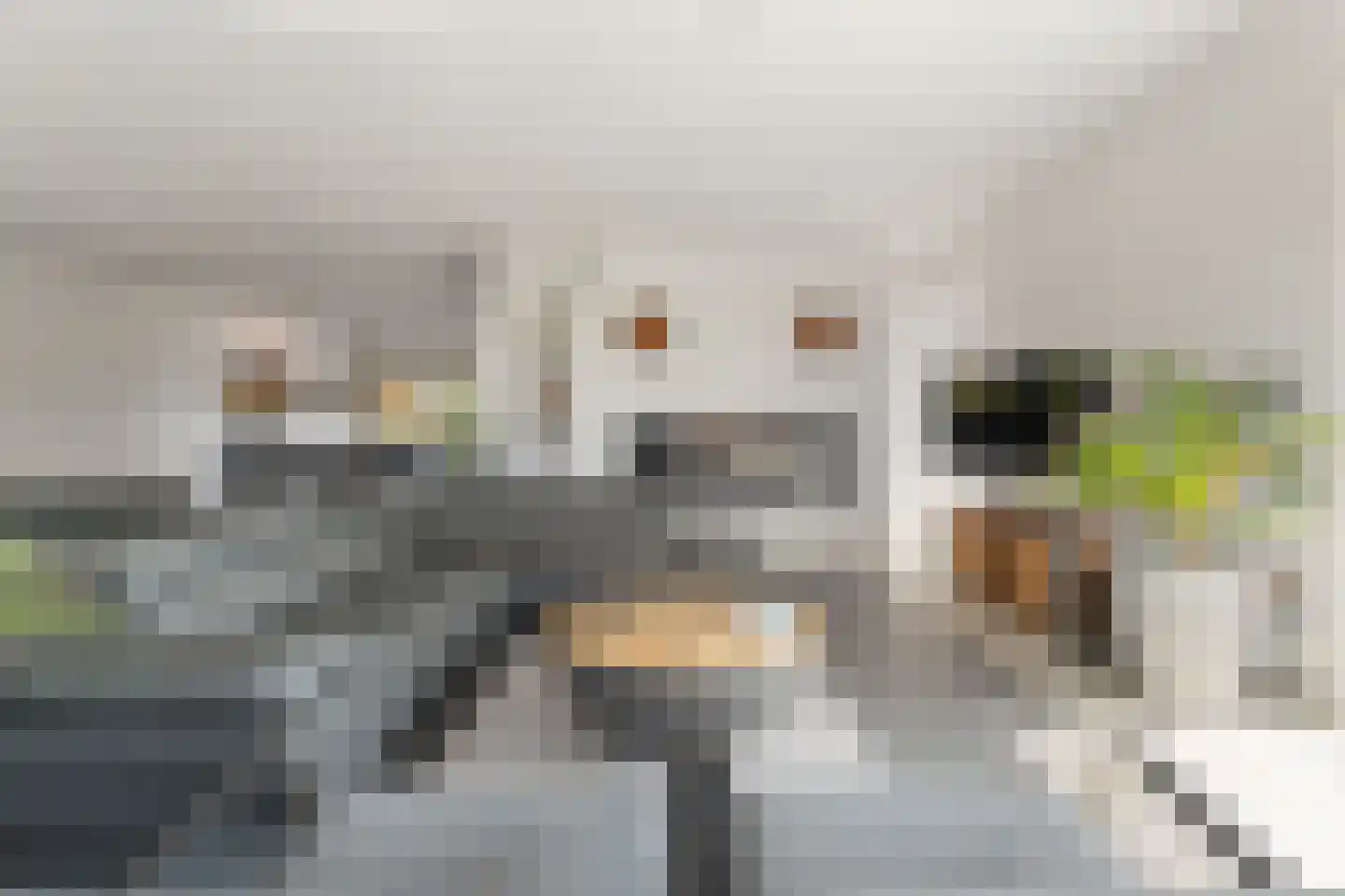 Laan van België 70 Roosendaal thumbnail 4