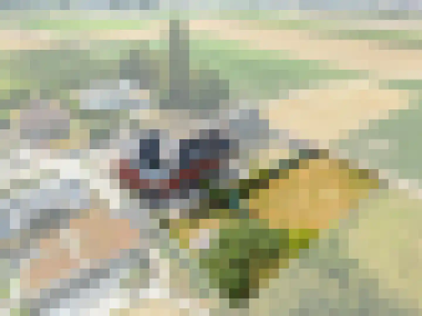 Laan van België 70 Roosendaal thumbnail 40