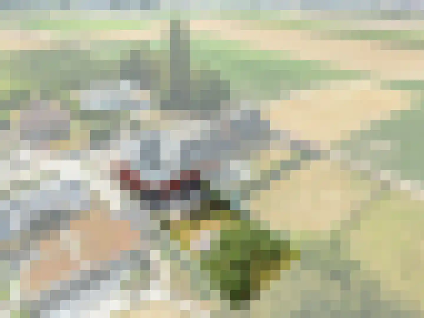 Laan van België 70 Roosendaal thumbnail 42