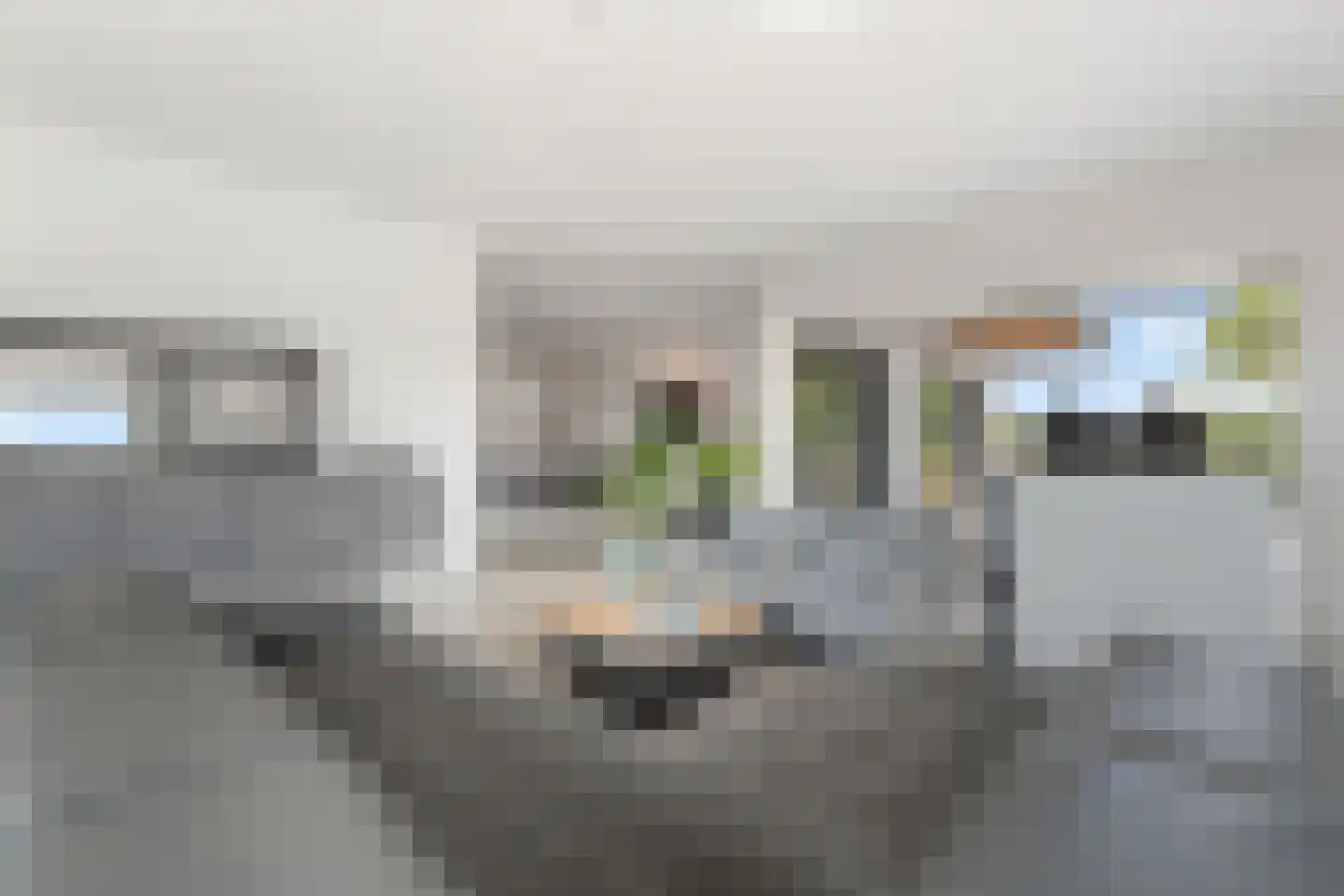 Laan van België 70 Roosendaal thumbnail 8