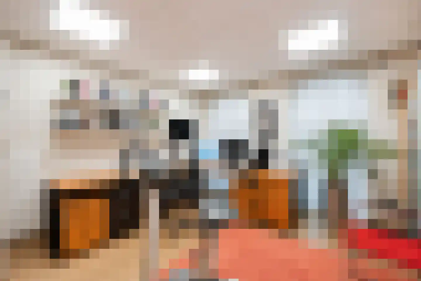 Laan van België 72 Roosendaal thumbnail 35