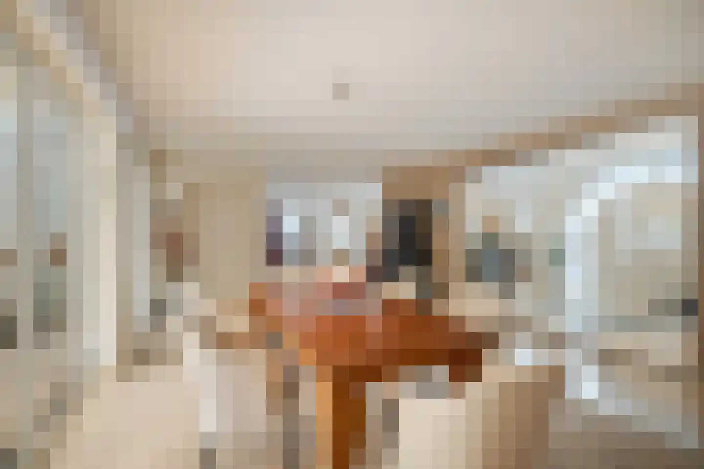 Laan van België 72 Roosendaal thumbnail 8