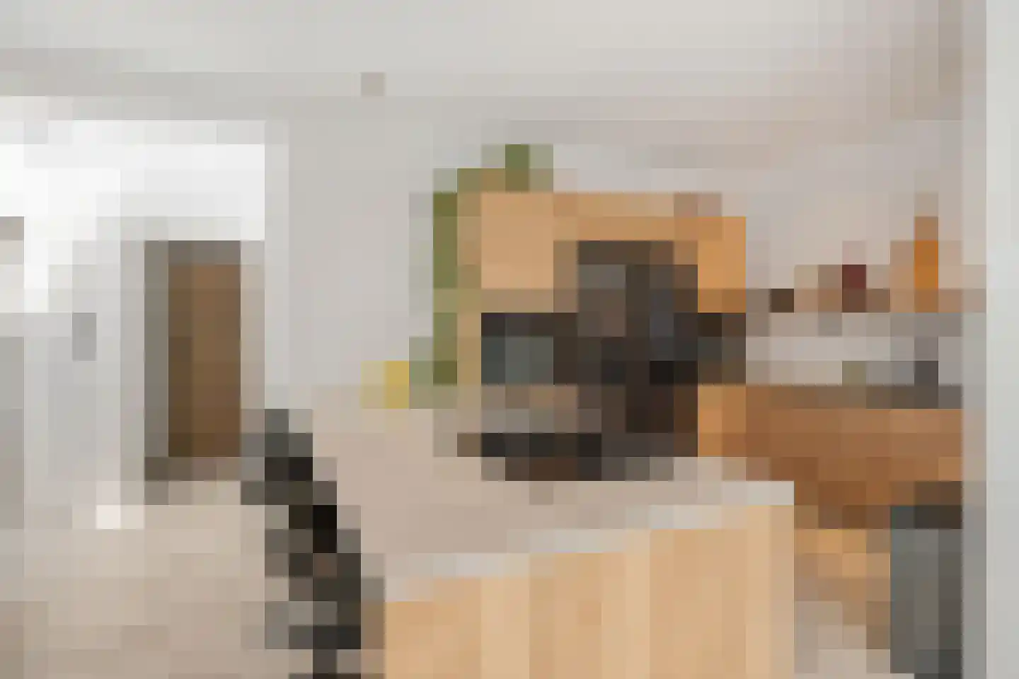 Laan van België 82 Roosendaal thumbnail 8