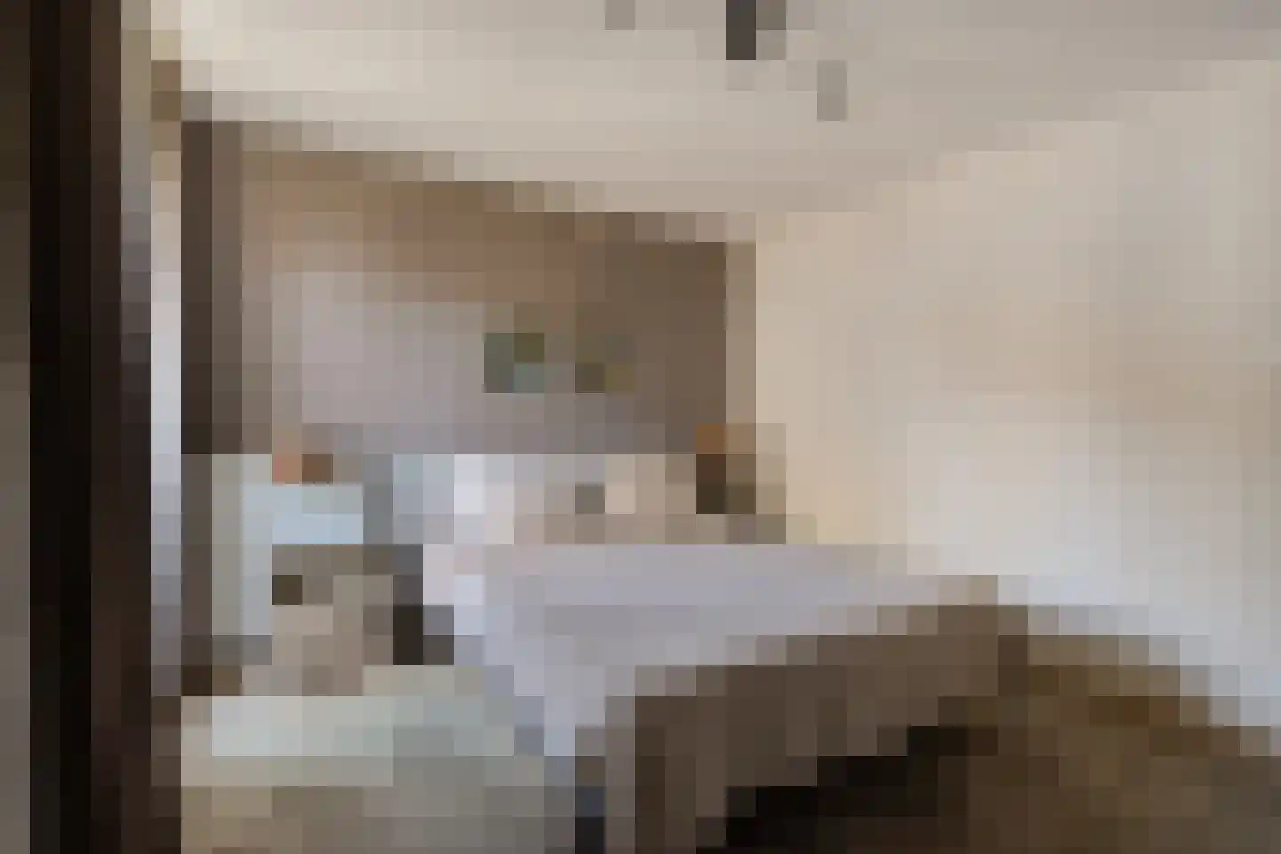 Laan van België 86 Roosendaal thumbnail 33