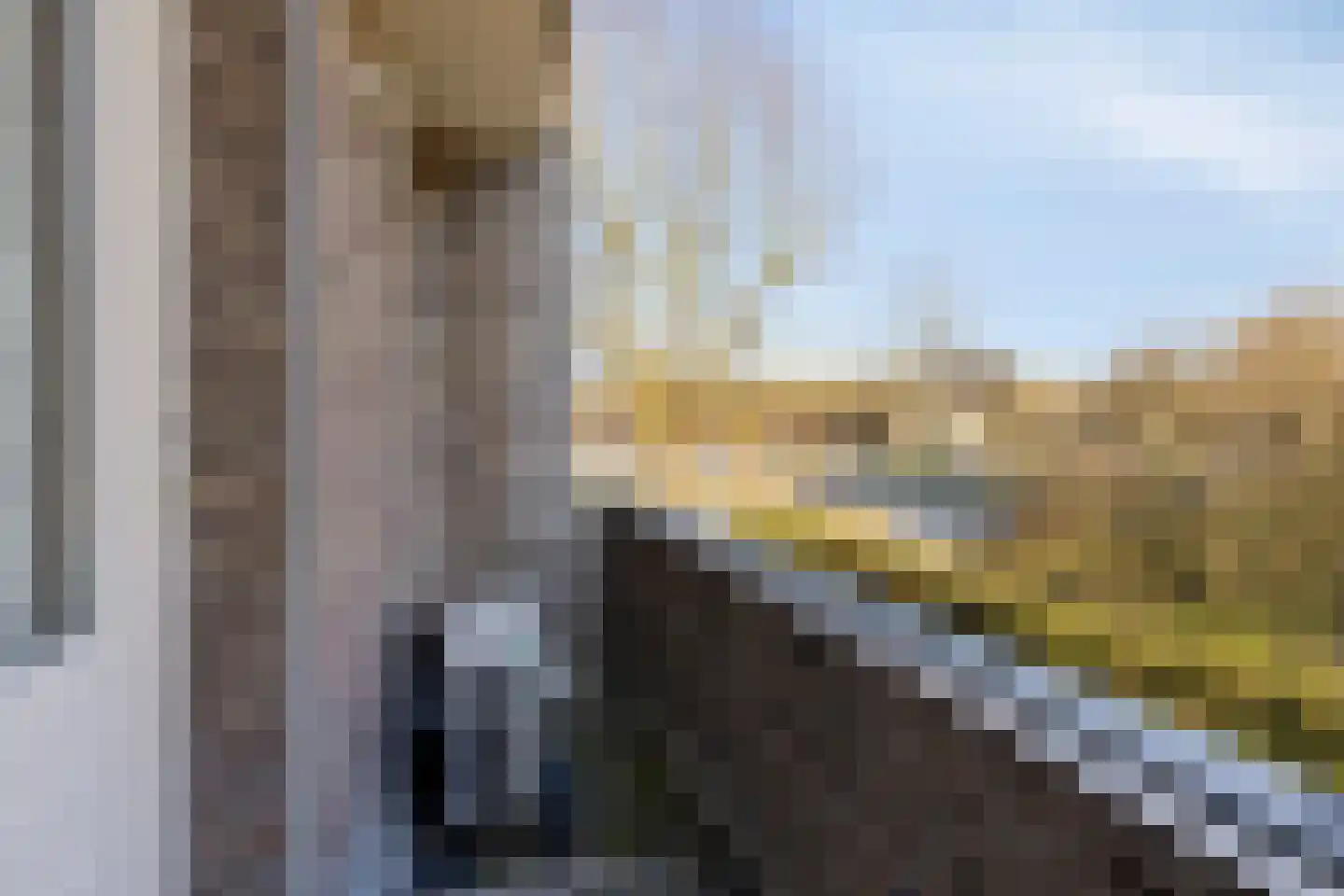 Laan van België 86 Roosendaal thumbnail 34