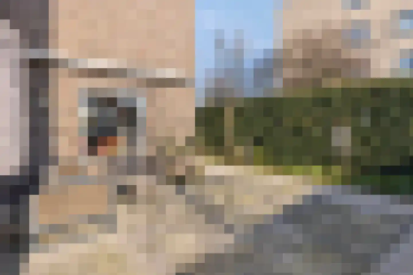 Laan van België 86 Roosendaal thumbnail 43