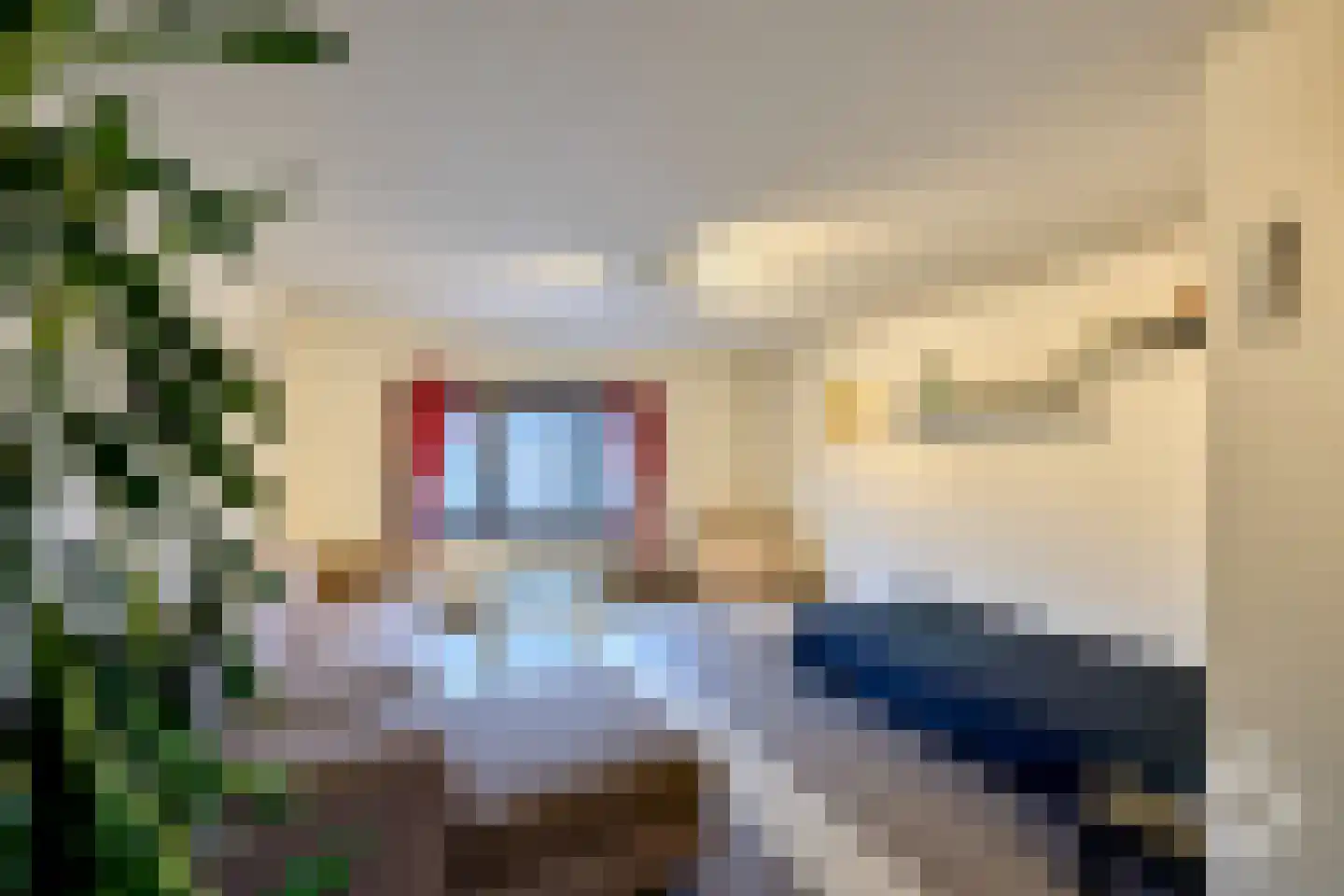 Laan van België 90 Roosendaal thumbnail 21
