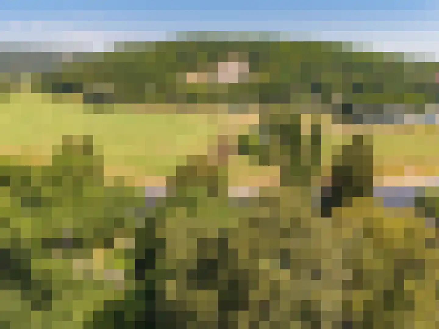 Laan van België 90 Roosendaal thumbnail 5