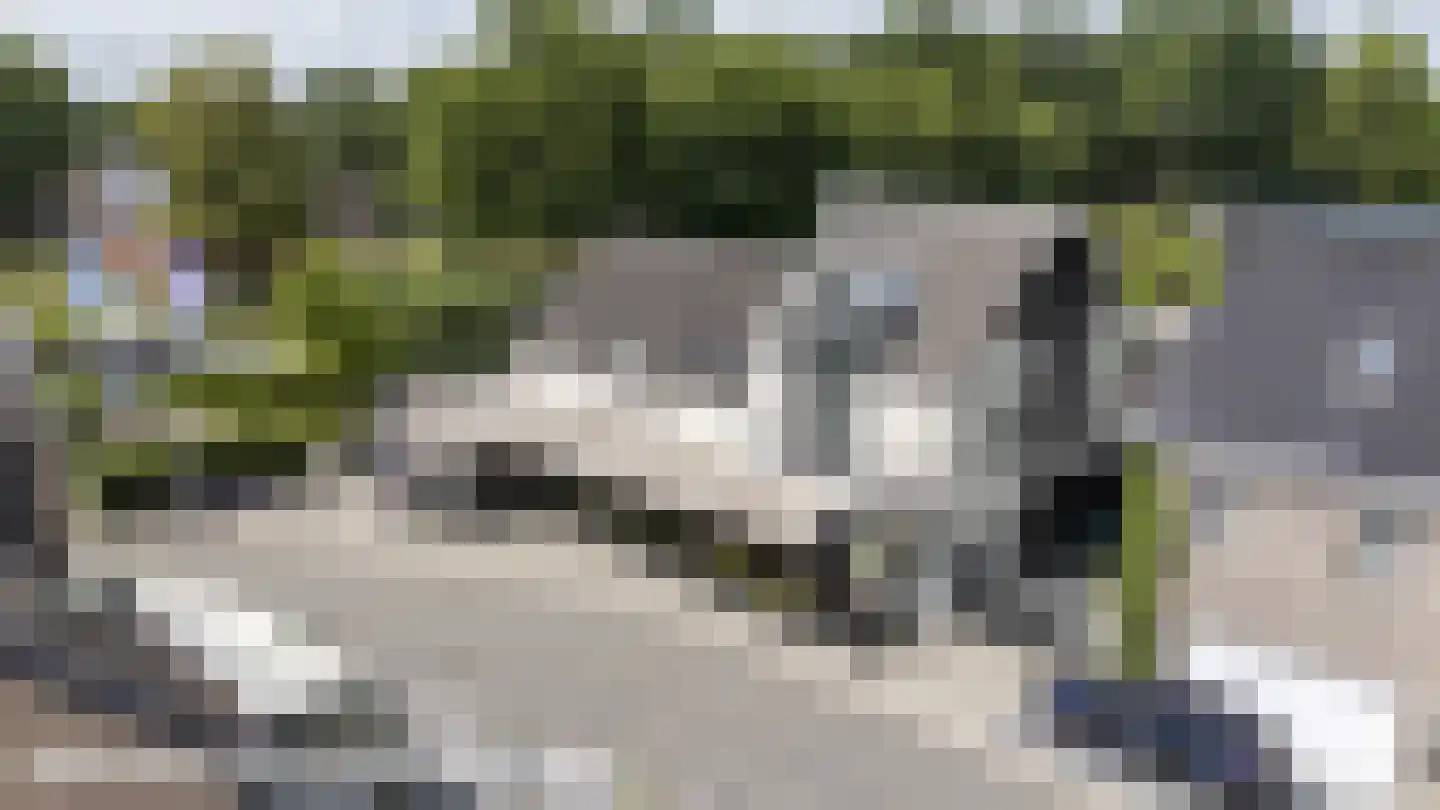 Laan van België 92 Roosendaal