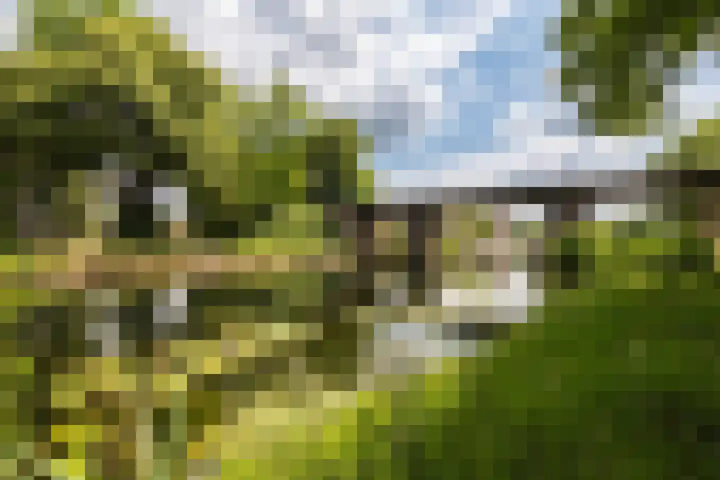 Laan van België 92 Roosendaal thumbnail 28
