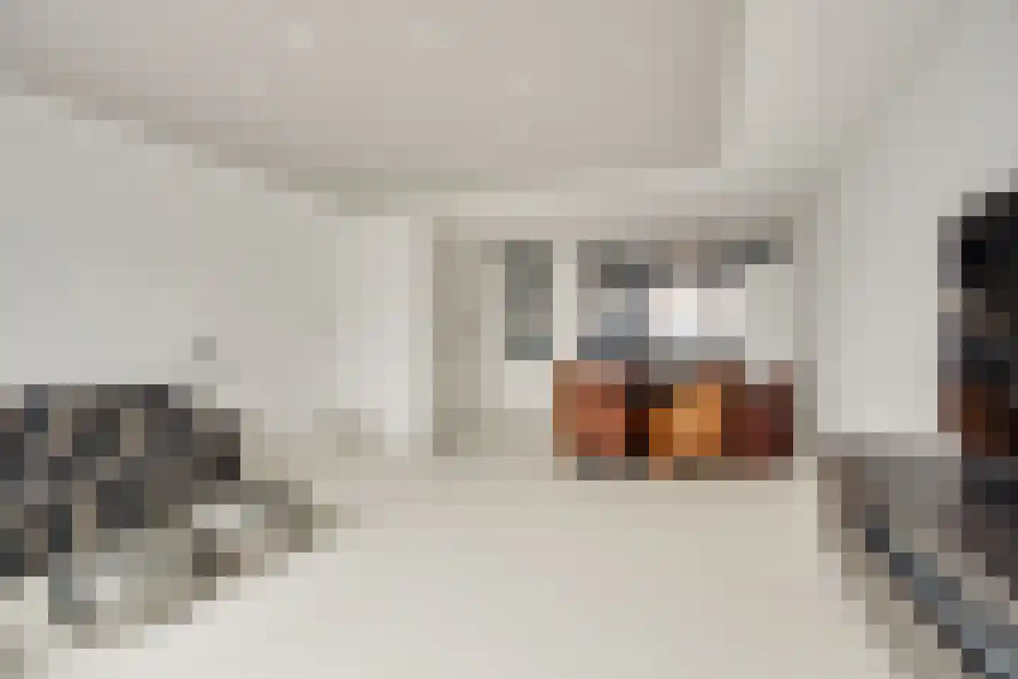 Laan van Bentvelsen 14 Delft thumbnail 15