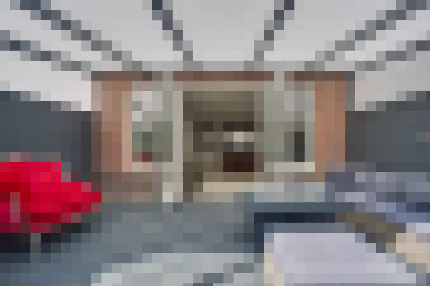 Laan van Bentvelsen 14 Delft thumbnail 18