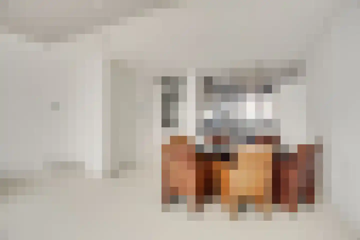 Laan van Bentvelsen 14 Delft thumbnail 6