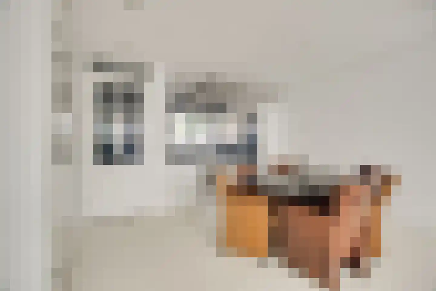 Laan van Bentvelsen 14 Delft thumbnail 7