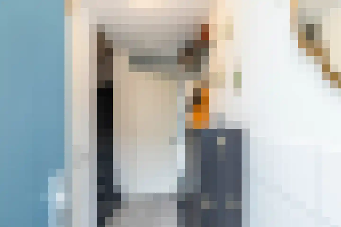 Laan van Bentvelsen 16 Delft thumbnail 10