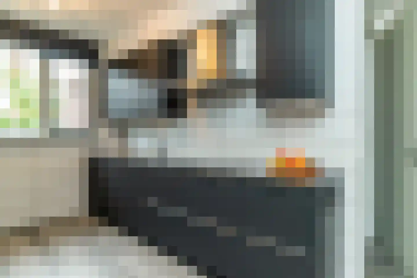 Laan van Bentvelsen 16 Delft thumbnail 15