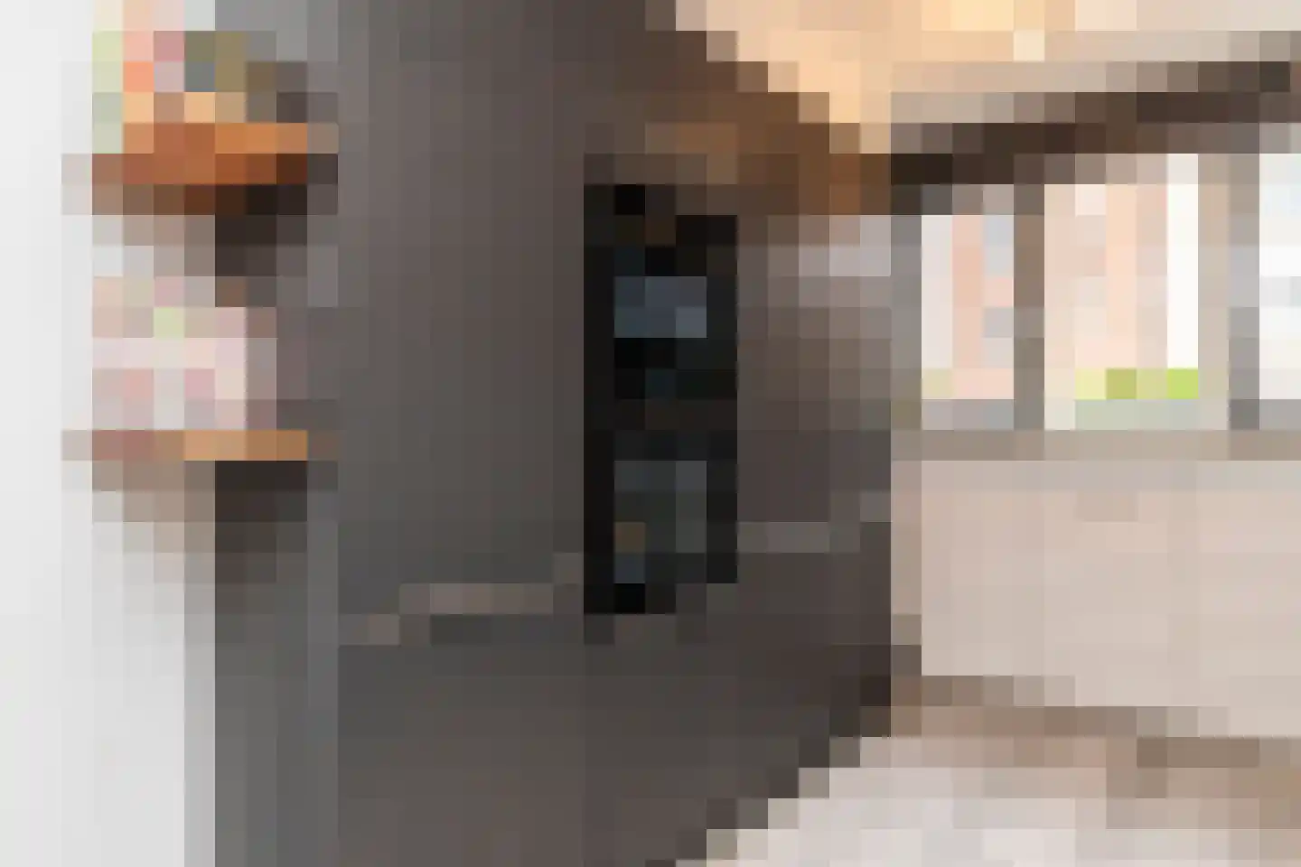 Laan van Bentvelsen 16 Delft thumbnail 16